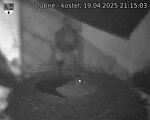 Capi_Dubne_20250419_211503.jpg