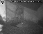 Capi_Dubne_20250419_212003.jpg