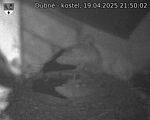 Capi_Dubne_20250419_215002.jpg