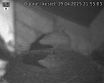 Capi_Dubne_20250419_215503.jpg