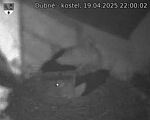 Capi_Dubne_20250419_220002.jpg