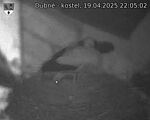 Capi_Dubne_20250419_220502.jpg