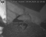 Capi_Dubne_20250419_221502.jpg