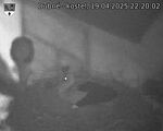 Capi_Dubne_20250419_222002.jpg