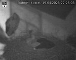 Capi_Dubne_20250419_222503.jpg