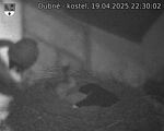 Capi_Dubne_20250419_223002.jpg