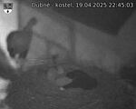 Capi_Dubne_20250419_224503.jpg