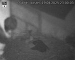 Capi_Dubne_20250419_230003.jpg