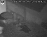 Capi_Dubne_20250419_233002.jpg