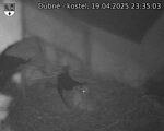 Capi_Dubne_20250419_233503.jpg