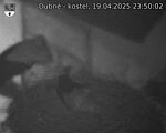 Capi_Dubne_20250419_235002.jpg