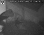 Capi_Dubne_20250420_000002.jpg