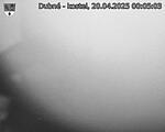 Capi_Dubne_20250420_000503.jpg