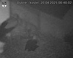 Capi_Dubne_20250420_004002.jpg