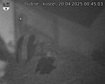 Capi_Dubne_20250420_004503.jpg