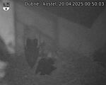Capi_Dubne_20250420_005003.jpg