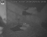 Capi_Dubne_20250420_011503.jpg
