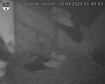 Capi_Dubne_20250420_014003.jpg