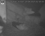 Capi_Dubne_20250420_020503.jpg