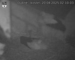 Capi_Dubne_20250420_021003.jpg