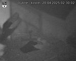 Capi_Dubne_20250420_023002.jpg
