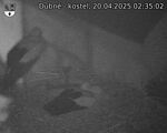 Capi_Dubne_20250420_023502.jpg