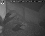 Capi_Dubne_20250420_024003.jpg