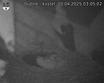 Capi_Dubne_20250420_030502.jpg