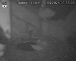 Capi_Dubne_20250420_035503.jpg