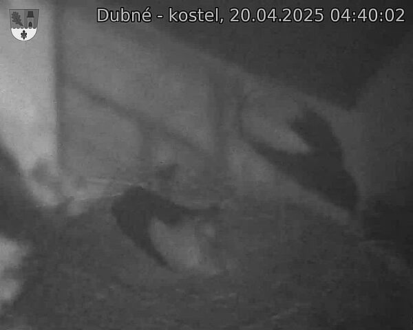 Capi_Dubne_20250420_044002.jpg (1350 x 1080)