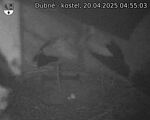 Capi_Dubne_20250420_045503.jpg