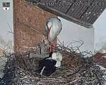 Capi_Dubne_20250420_082003.jpg