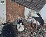 Capi_Dubne_20250420_082502.jpg