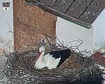 Capi_Dubne_20250420_084503.jpg