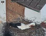 Capi_Dubne_20250420_085503.jpg
