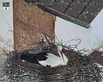Capi_Dubne_20250420_090003.jpg