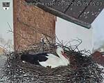 Capi_Dubne_20250420_090503.jpg