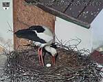Capi_Dubne_20250420_092002.jpg