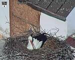Capi_Dubne_20250420_094503.jpg
