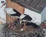 Capi_Dubne_20250420_105003.jpg