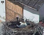 Capi_Dubne_20250420_134502.jpg