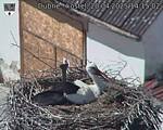 Capi_Dubne_20250420_141502.jpg