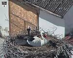 Capi_Dubne_20250420_142503.jpg