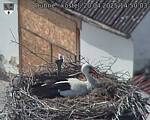 Capi_Dubne_20250420_145003.jpg