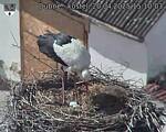 Capi_Dubne_20250420_151003.jpg