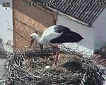 Capi_Dubne_20250420_152003.jpg