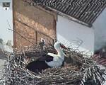 Capi_Dubne_20250420_152502.jpg