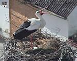 Capi_Dubne_20250420_153003.jpg