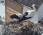 Capi_Dubne_20250420_153502.jpg