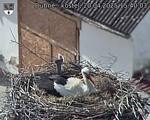Capi_Dubne_20250420_154003.jpg